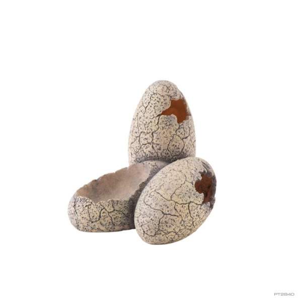 DINOSAUR EGGS